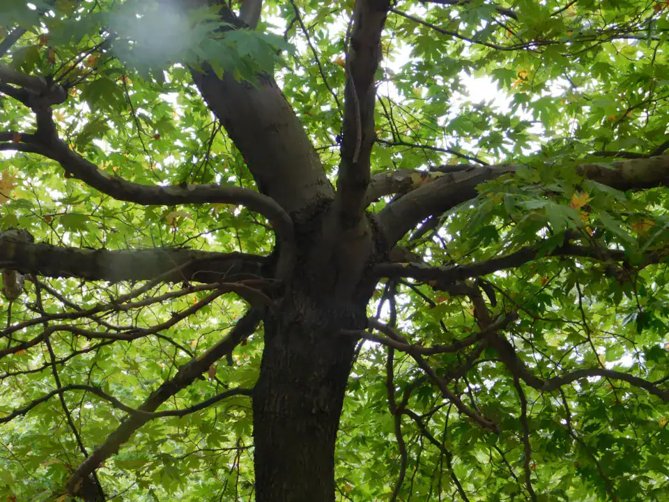 Photography — Twoplus (444)
