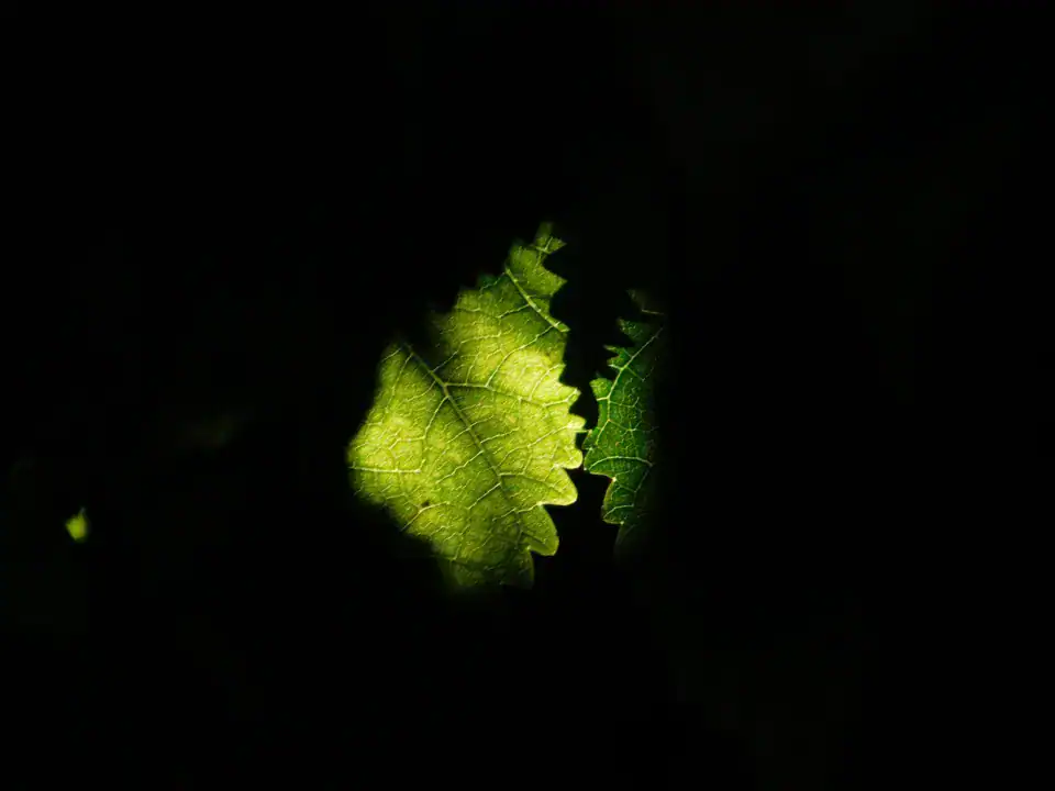 Photography — Twoplus (404)