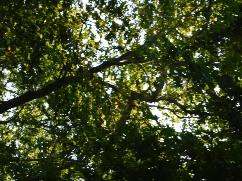Photography — Twoplus (465)