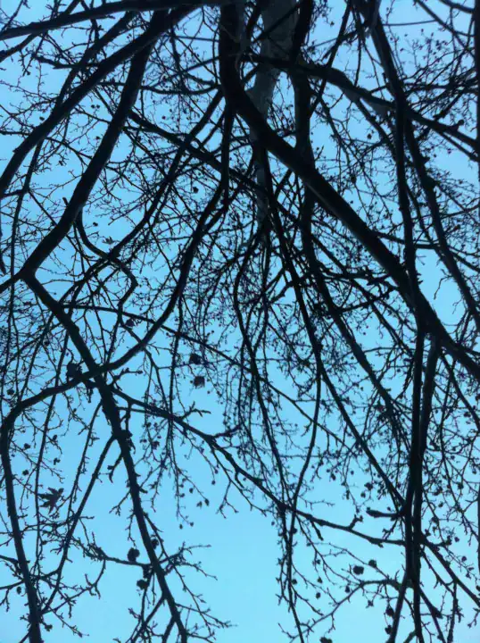 Photography — Twoplus (512)