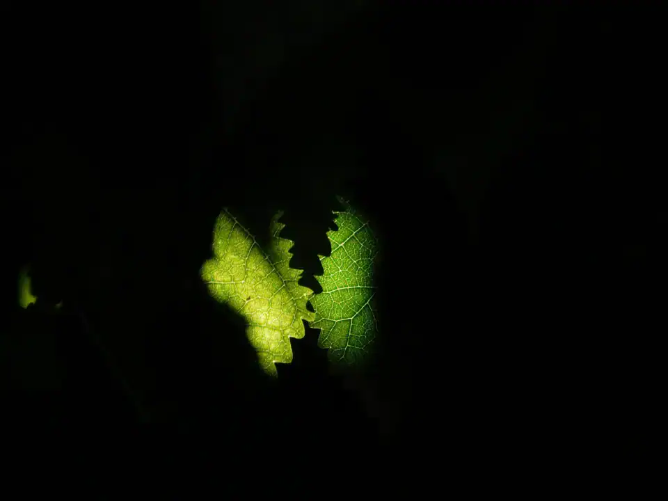 Photography — Twoplus (396)