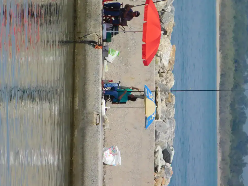 Photography — Twoplus (470)