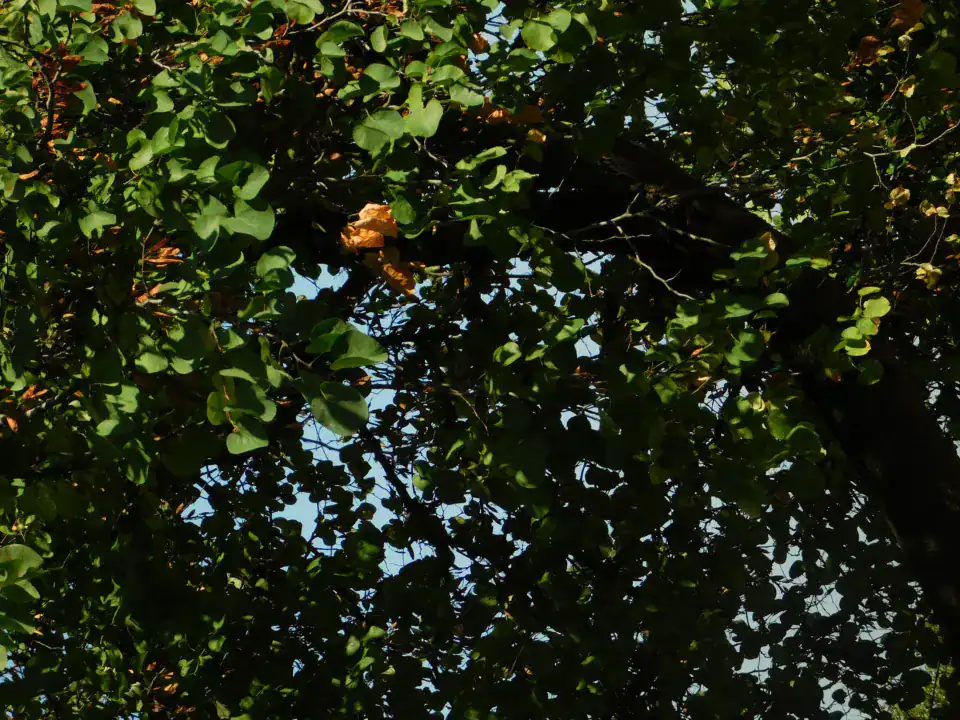 Photography — Twoplus (418)