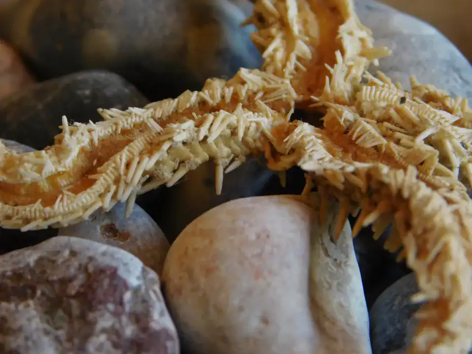Photography — Twoplus (491)