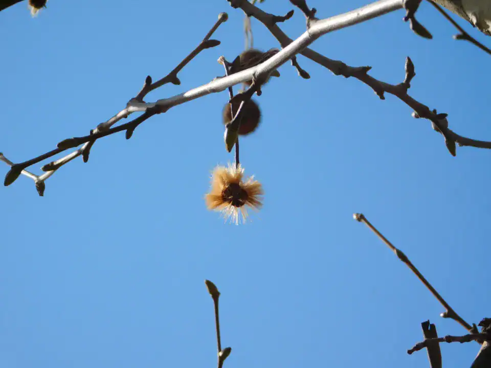 Photography — Twoplus (642)
