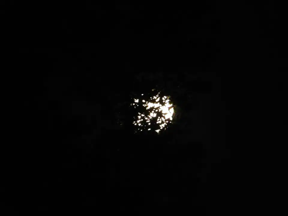 Photography — Twoplus (364)