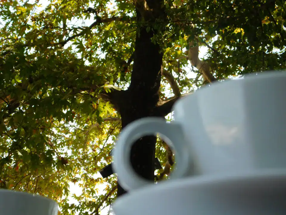 Photography — Twoplus (459)
