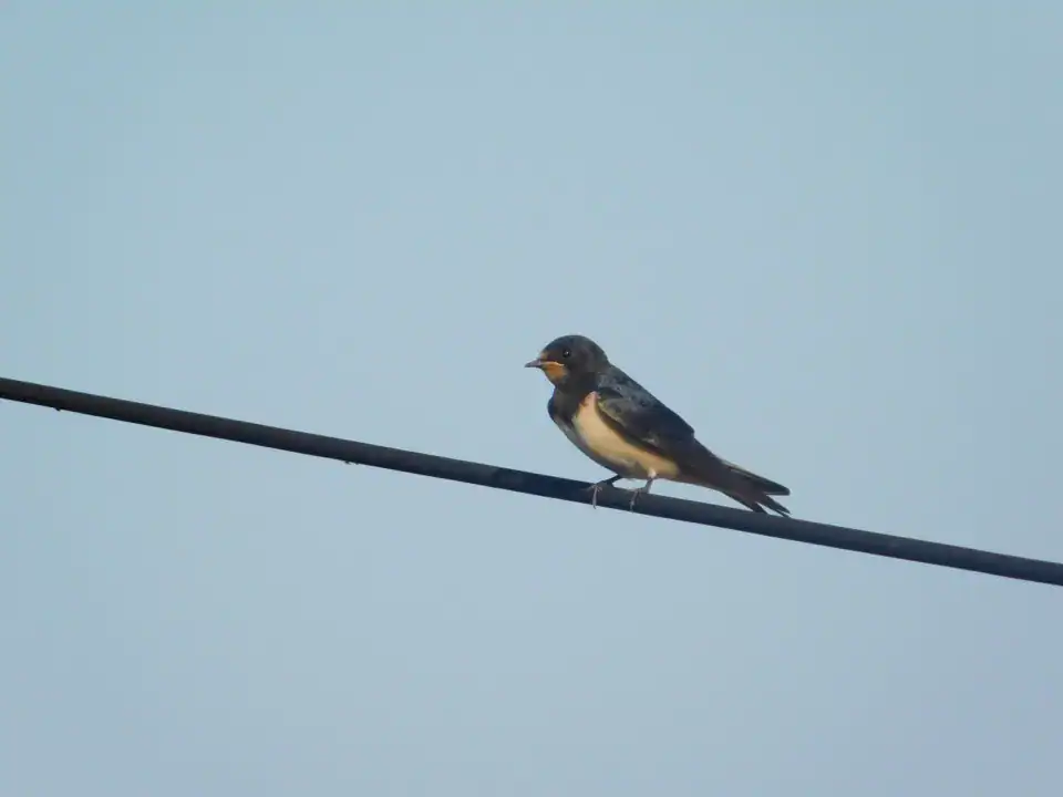 Photography — Twoplus (341)
