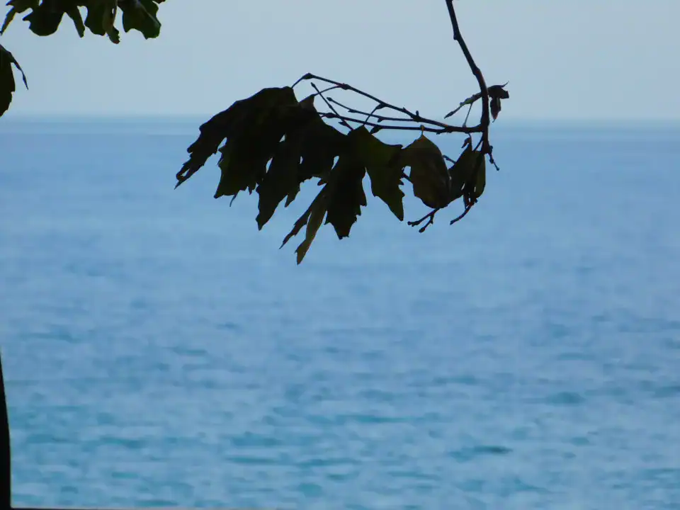 Photography — Twoplus (472)