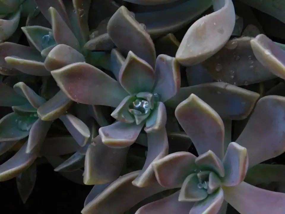 Photography — Twoplus (503)