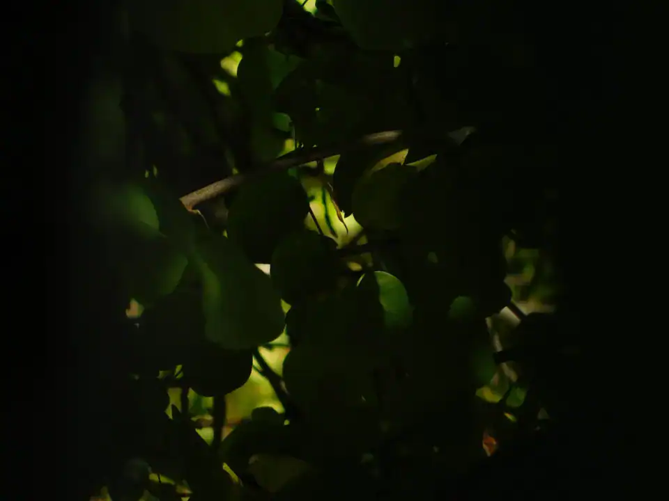 Photography — Twoplus (411)