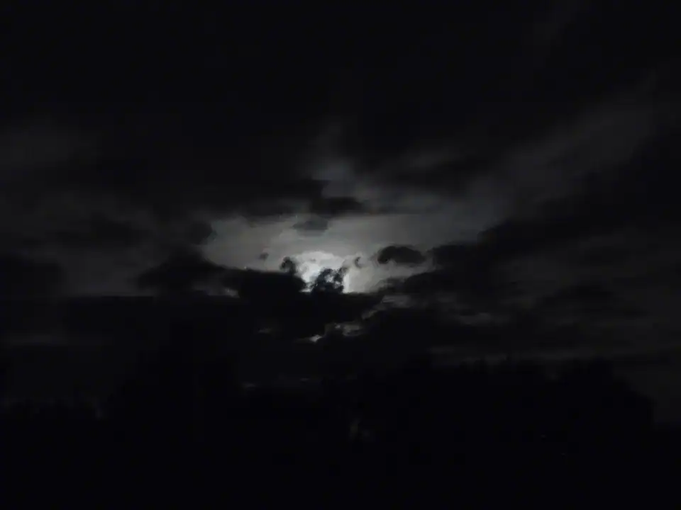 Photography — Twoplus (501)