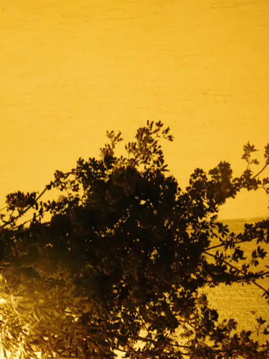 Photography — Twoplus (380)