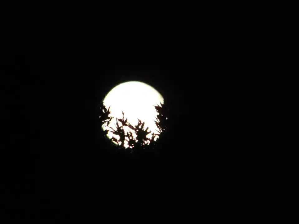 Photography — Twoplus (367)