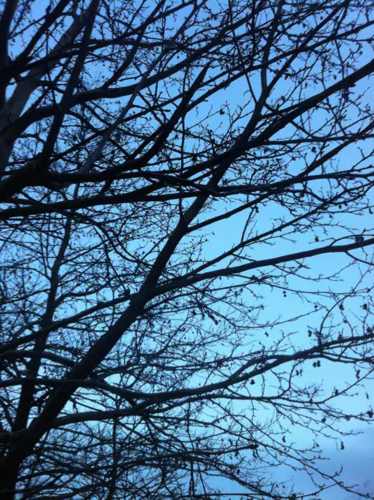 Photography — Twoplus (522)