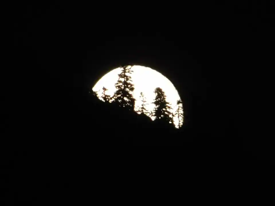 Photography — Twoplus (351)