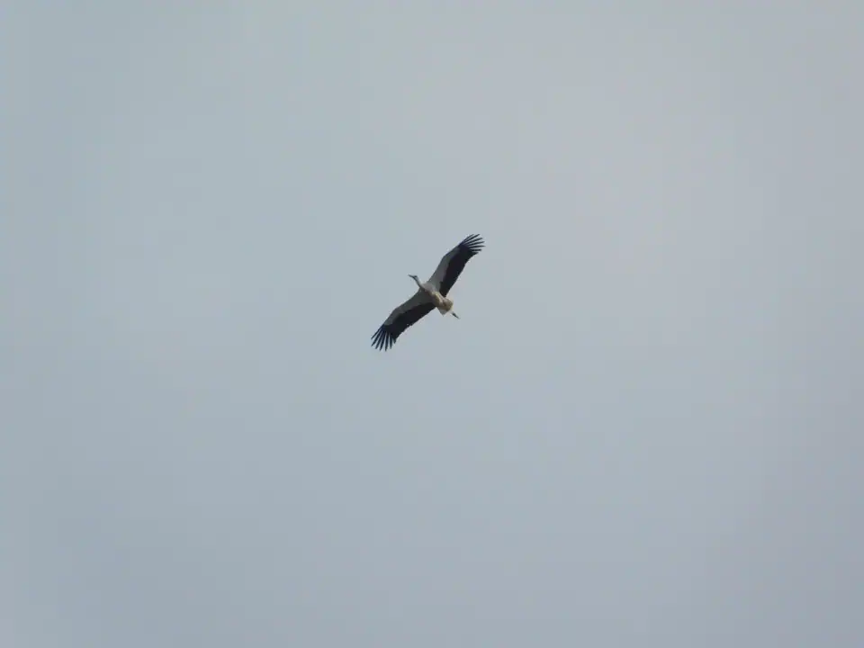 Photography — Twoplus (704)