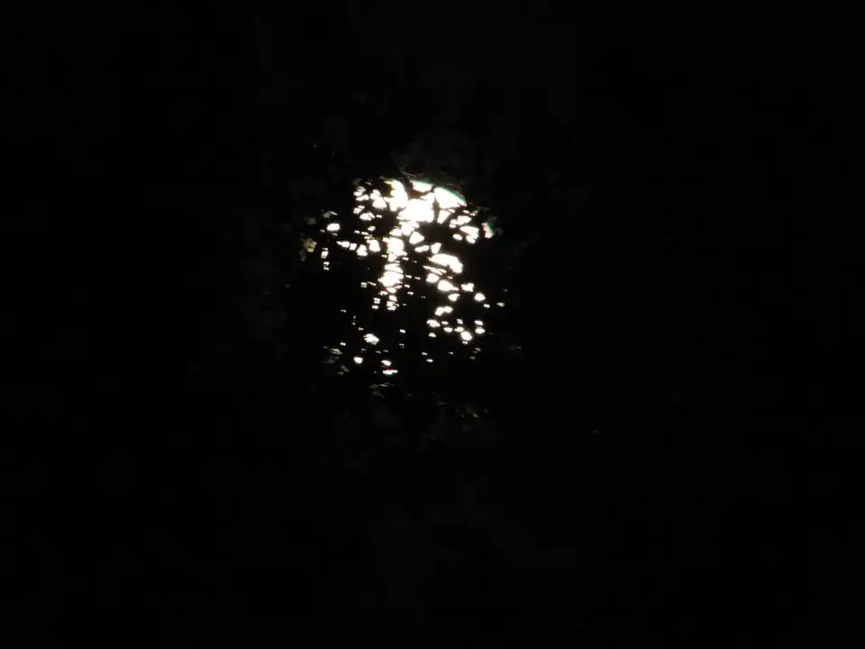 Photography — Twoplus (365)