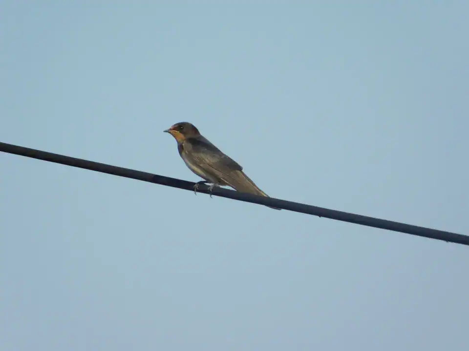 Photography — Twoplus (342)