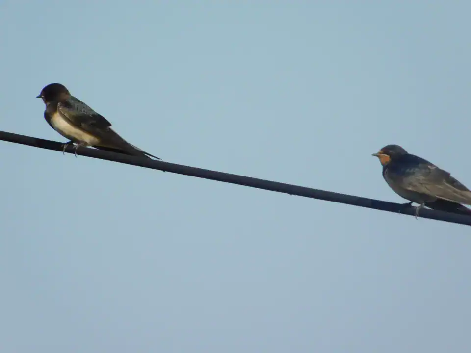 Photography — Twoplus (354)