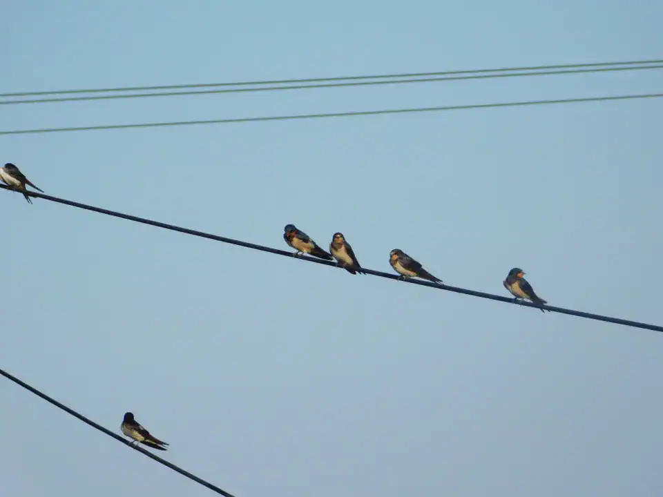 Photography — Twoplus (339)