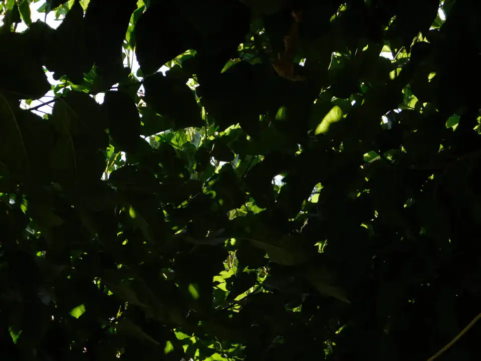 Photography — Twoplus (405)