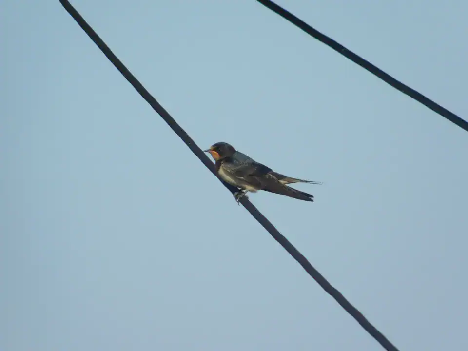 Photography — Twoplus (344)