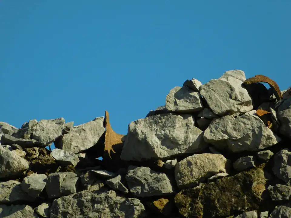 Photography — Twoplus (697)