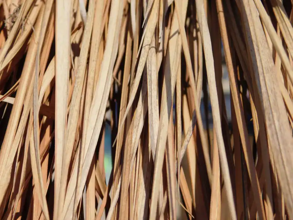 Photography — Twoplus (479)