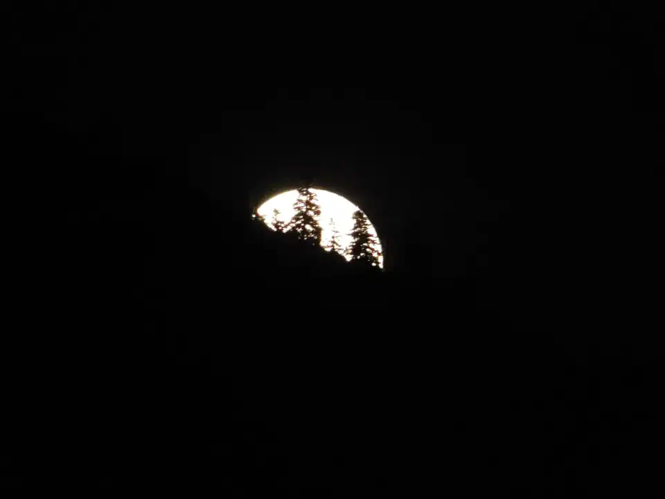 Photography — Twoplus (350)