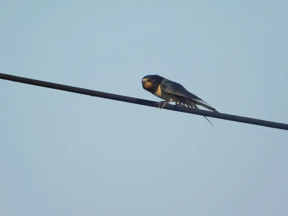 Photography — Twoplus (337)